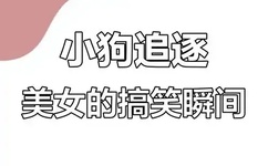 国产精品麻花传媒二三区别